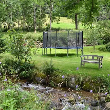 Apartamento Haus Wiesengrund-fahl, 7 *