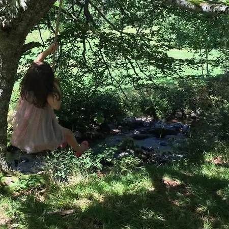 Apartamento Haus Wiesengrund-fahl, 7 *